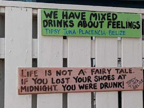 Tipsy Tuna — our photo